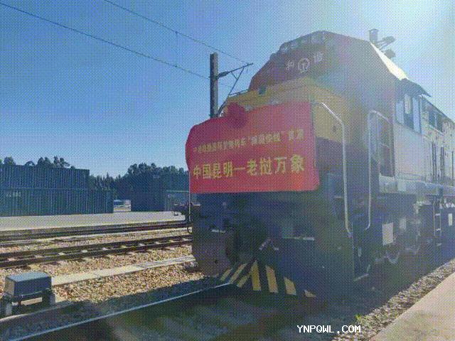 中老鐵路入境貨物快速增長(cháng)