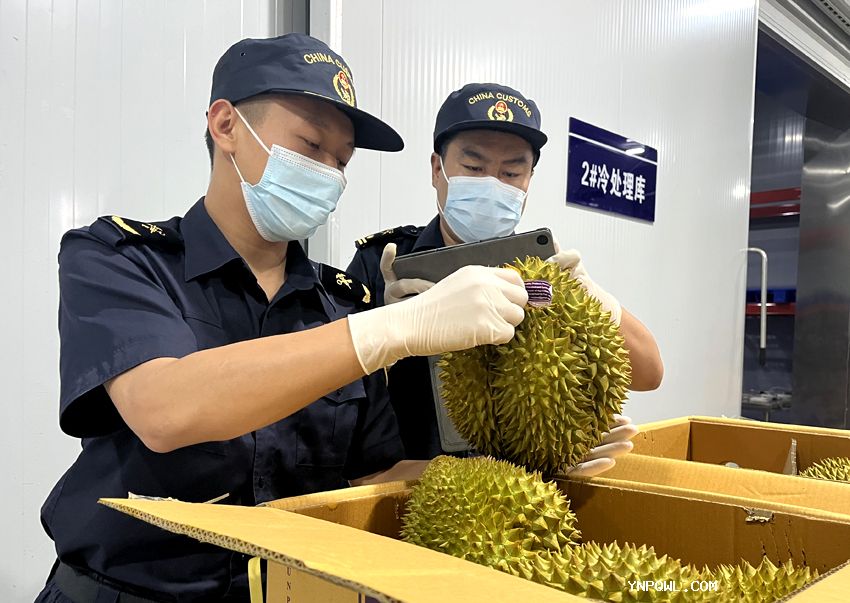 中老鐵路今年運輸水果突破10萬(wàn)噸